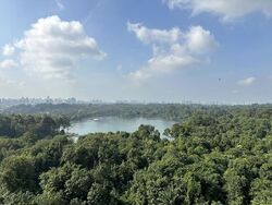 Lakeview Estate (D20), Apartment #519696381